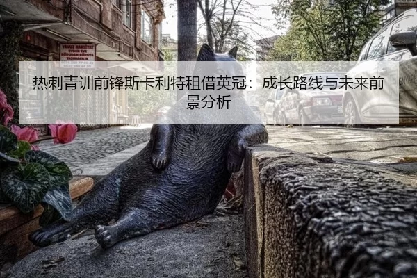 热刺青训前锋斯卡利特租借英冠：成长路线与未来前景分析